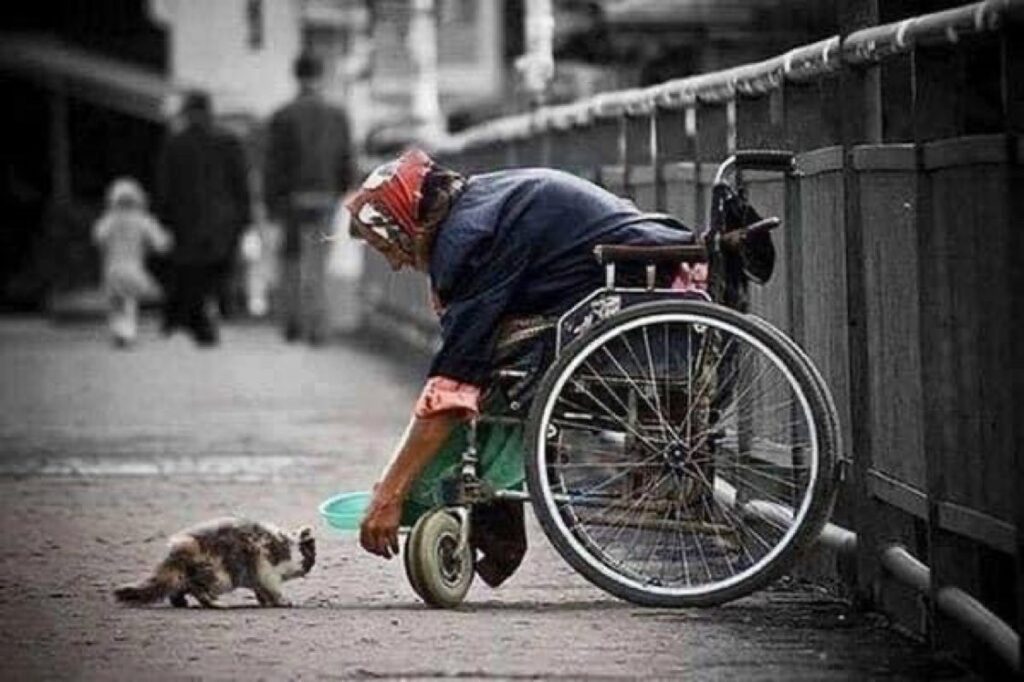 Не будьте равнодушны. Самые трогательные фотографии бездомных животных 